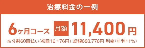 治療料金の一例