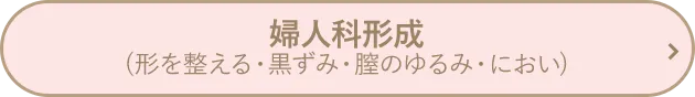 婦人科形成