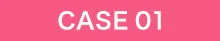 CASE 01
