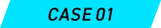 CASE 01