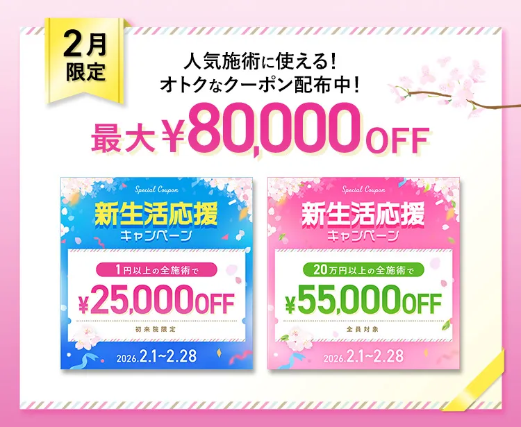 MAX80,000円OFF