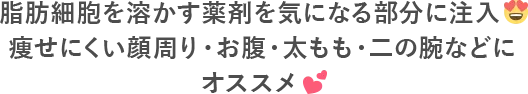 脂肪細胞を溶かす薬剤を気になる部分に注入