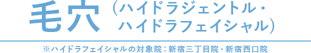 毛穴（ハイドラジェントル・ハイドラフェイシャル）