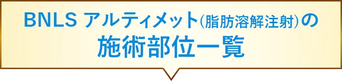 BNLSアルティメットの施術部位一覧