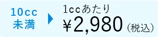10cc未満1ccあたり¥2,980(税込)