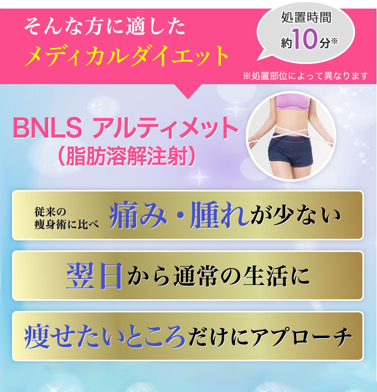 BNLSアルティメット