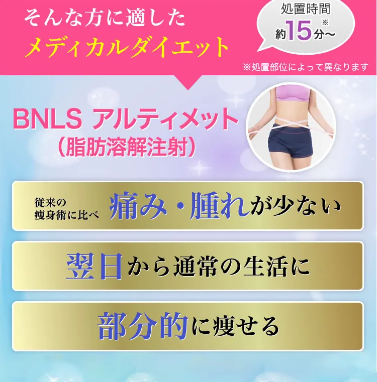 BNLSアルティメット