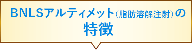 BNLSアルティメットはここがスゴイ