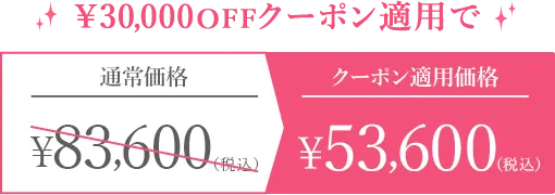 クーポン適用価格￥53,600（税込）