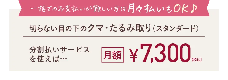 分割払いサービスを使えば・・・月額4,600円(税込)~