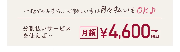 分割払いサービスを使えば・・・月額4,600円(税込)~