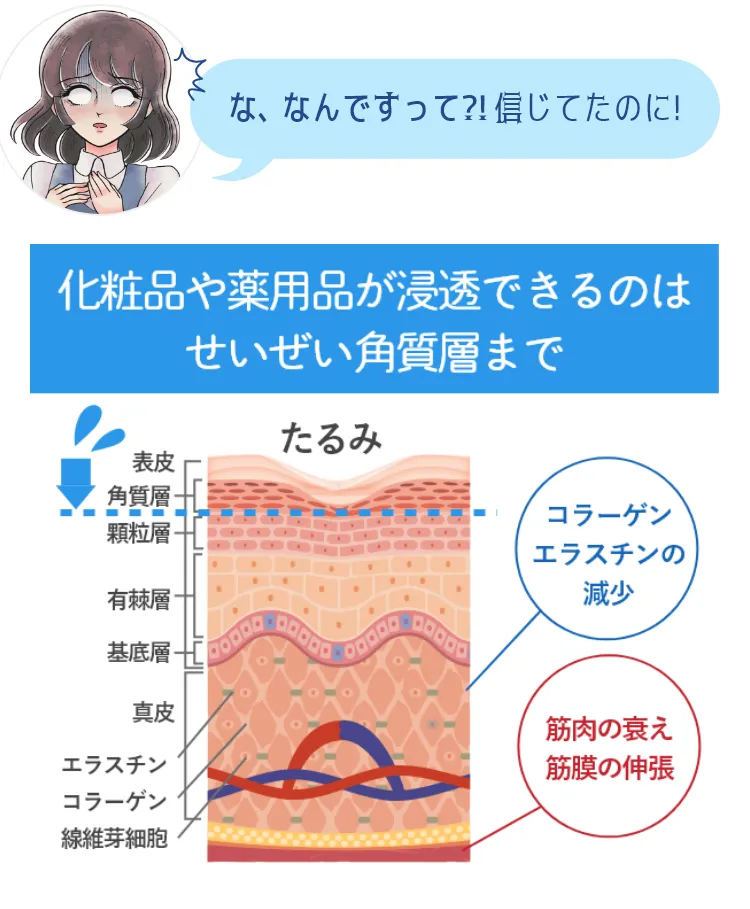 化粧品や薬用品が浸透できるのはせいぜい角質層まで