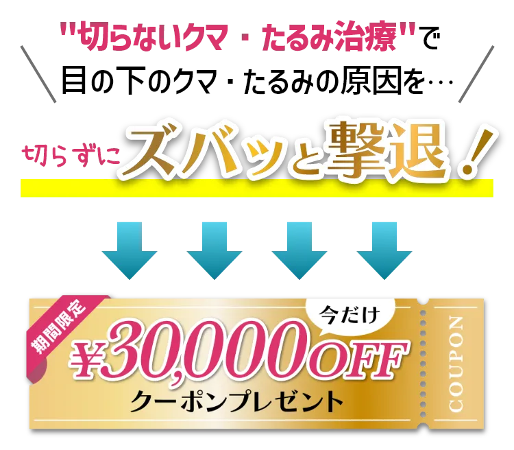 期間限定、今だけ30000円OFFクーポンプレゼント