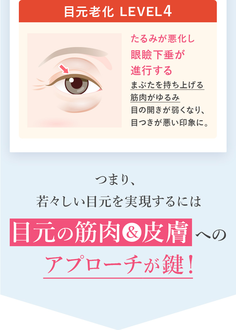 目元老化レベル
