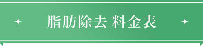 脂肪除去｜料金表
