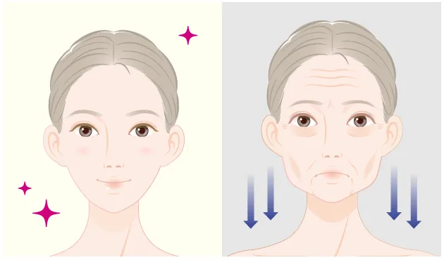 イメージイラスト