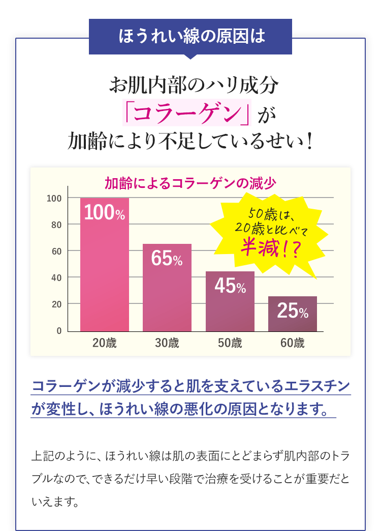 ほうれい線の原因はお肌内部の「コラーゲン」が加齢により不足しているせい！