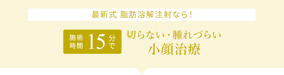 最新式 脂肪溶解注射なら！ 施術時間15分で 切らない・腫れづらい小顔治療