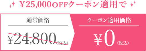 クーポン適用価格￥53,600（税込）