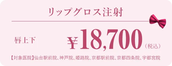 リップグロス注射 唇上下18,700円（税込）