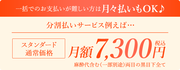 お支払いのご提案