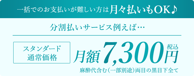 お支払のご提案