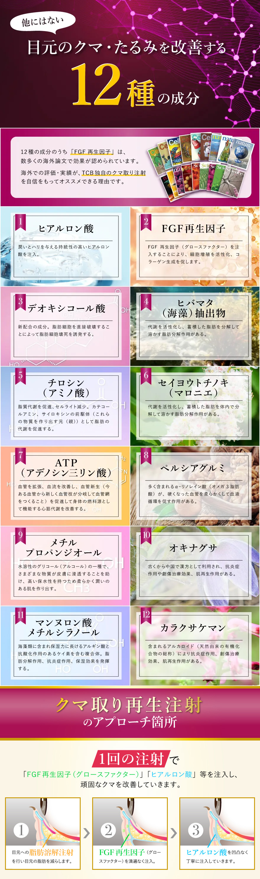 目元脂肪を分解する12種の成分