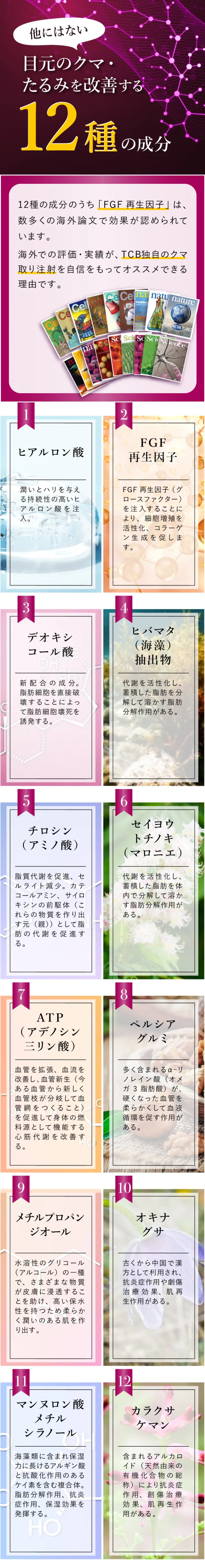 目元脂肪を分解する12種の成分