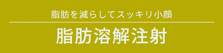 脂肪を減らしてすっきり小顔 脂肪溶解注射