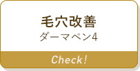 毛穴改善 ダーマペン4