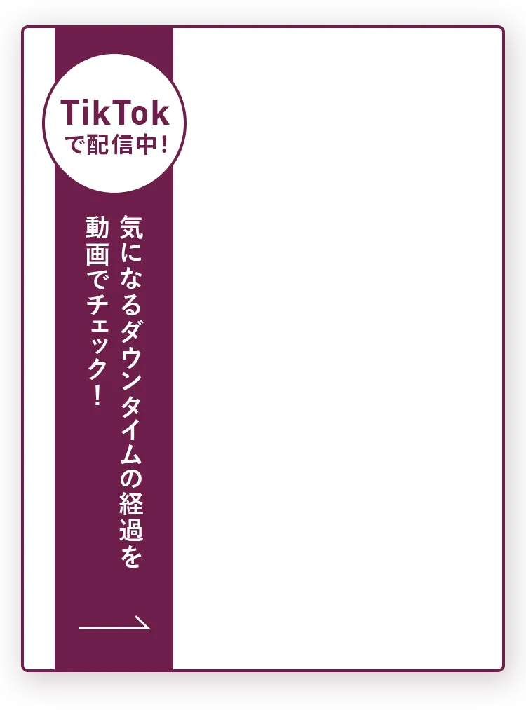 TikTokでも話題！気になるダウンタイムの経過を動画でチェック！