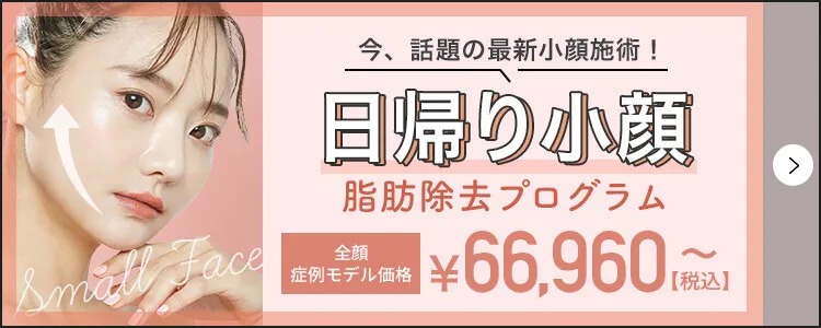 日帰り小顔　脂肪除去プログラム