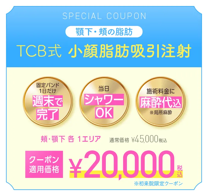 クーポン適用価格20,000円（税込）