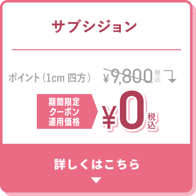 サブシジョン