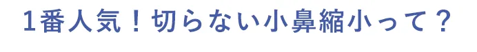 1番人気！切らない小鼻縮小って？