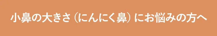 小鼻の大きさ(にんにく鼻)にお悩みの方へ