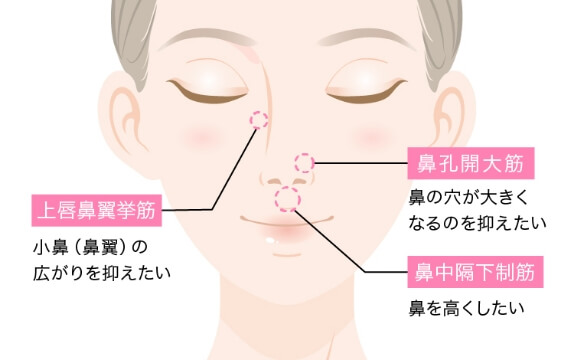 鼻筋を通して高くするだけでなく曲がってしまっている鼻も修正可能です。