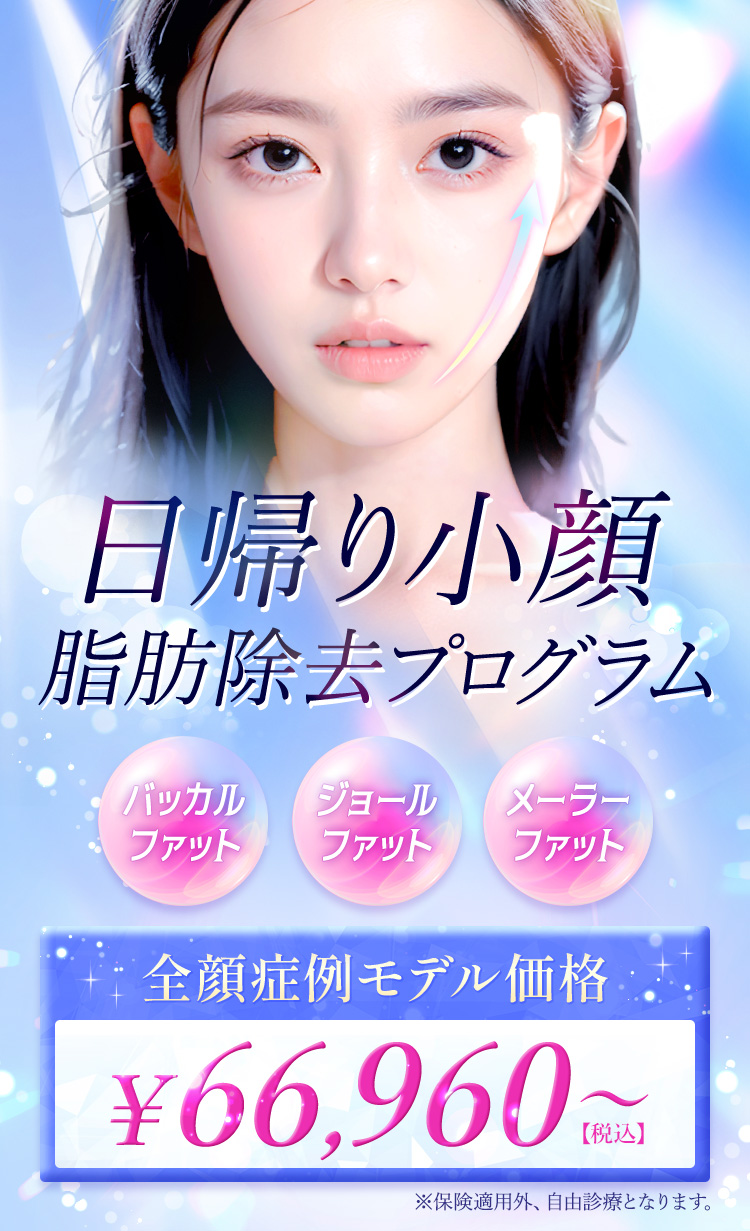日帰り小顔除去プログラム
