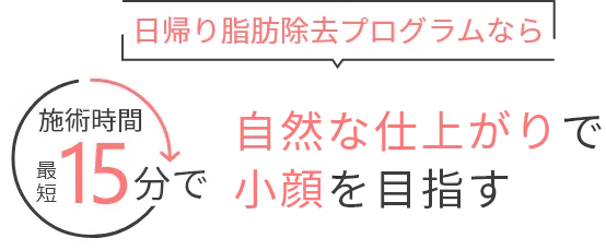 日帰り小顔脂肪除去プログラムなら 施術時間15分で自然な仕上がりで小顔に