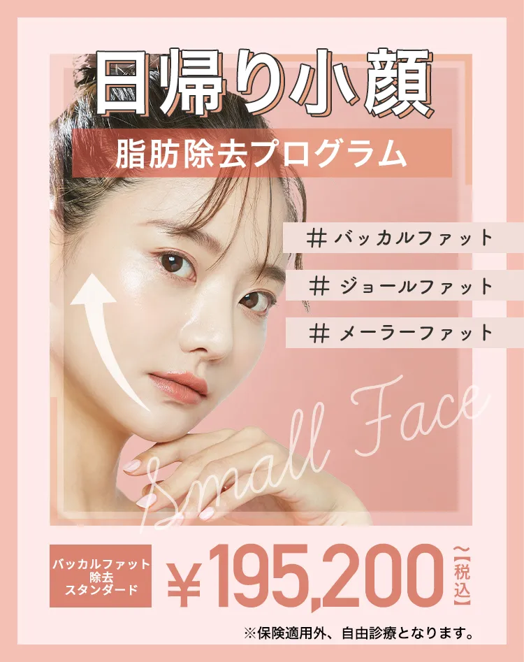 日帰り小顔除去プログラム