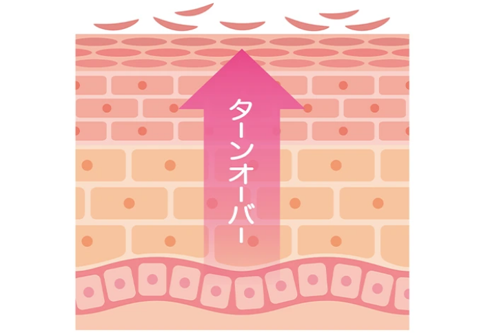 ダーマペン4の効果 ターンオーバー