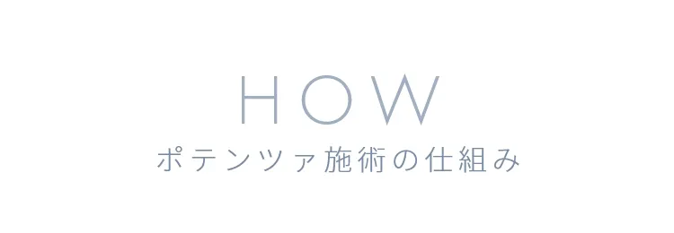HOW ポテンツァの仕組み
