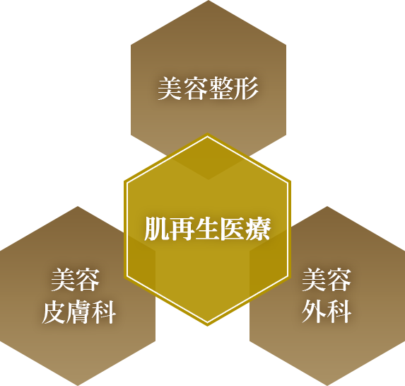 再生肌医療