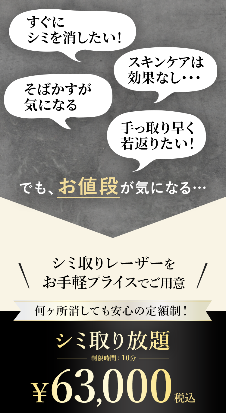 でもお値段が気になる…