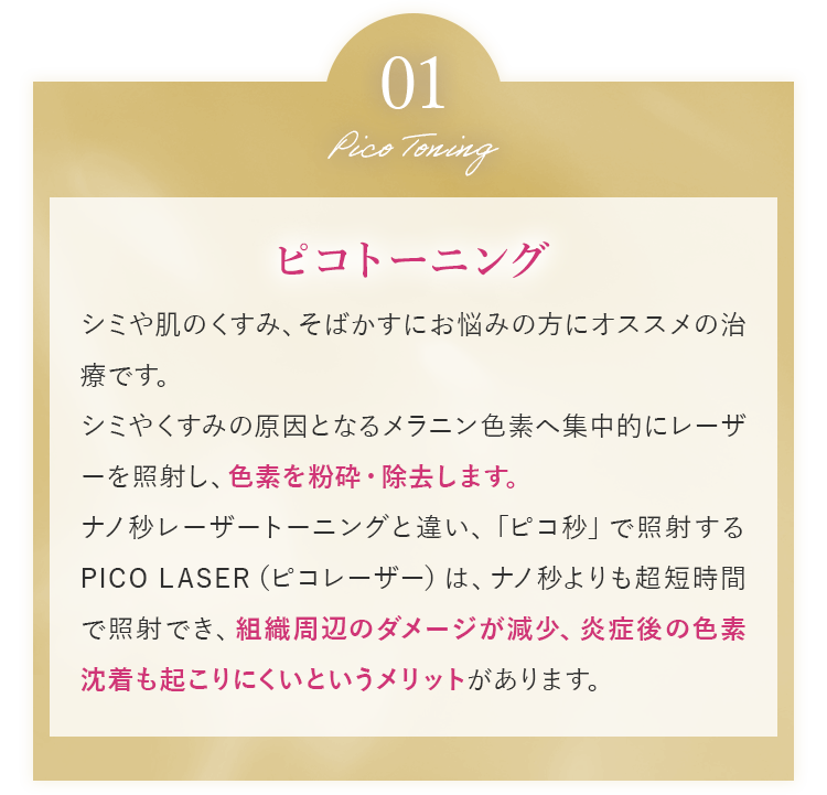 01 ピコトーニング