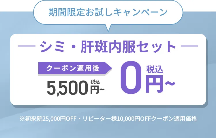 美白内服セットの説明7