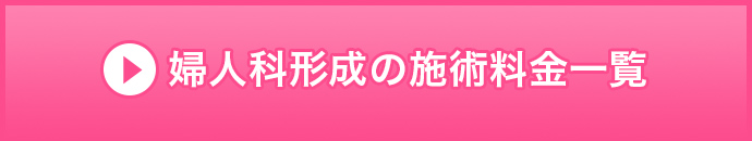 婦人科形成の施術料金一覧