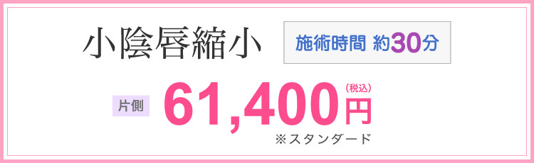 小陰唇縮小 施術時間 約30分 両方 87,600円(税込)※スタンダード