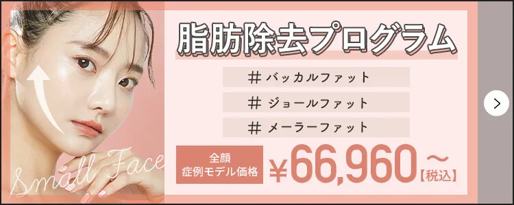 脂肪除去